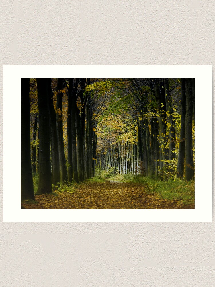 Alternate view of Lane; trees Art Print