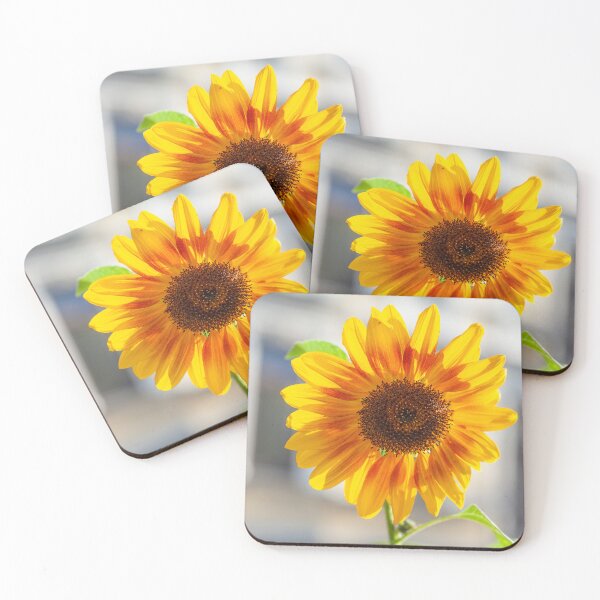 Aperçu de l'œuvre tournesol; Fleur; Fleurir; Allemagne créée et vendue par Torsten  Krüger.