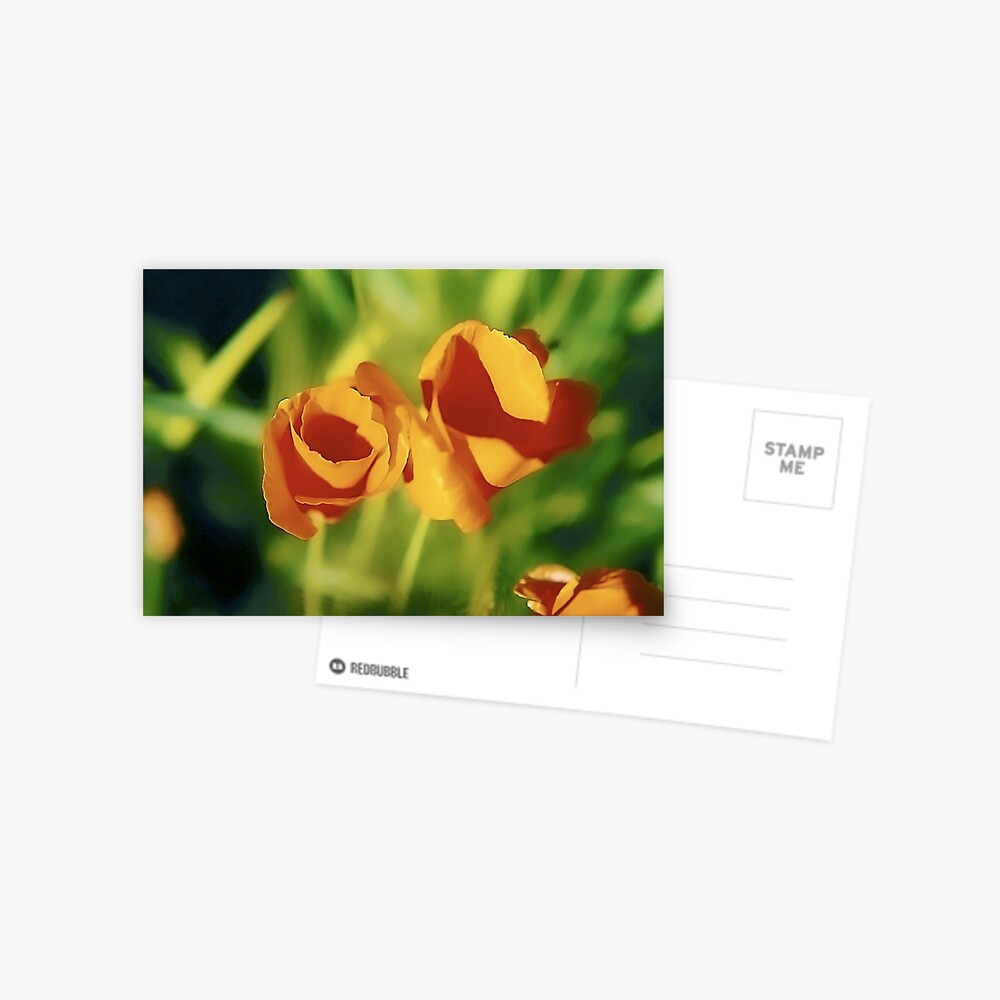 Item preview, Postcard designed and sold by DaogreerEarth.