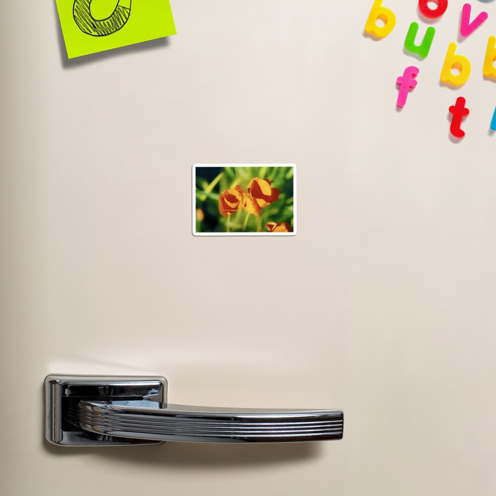 Item preview, Magnet designed and sold by DaogreerEarth.
