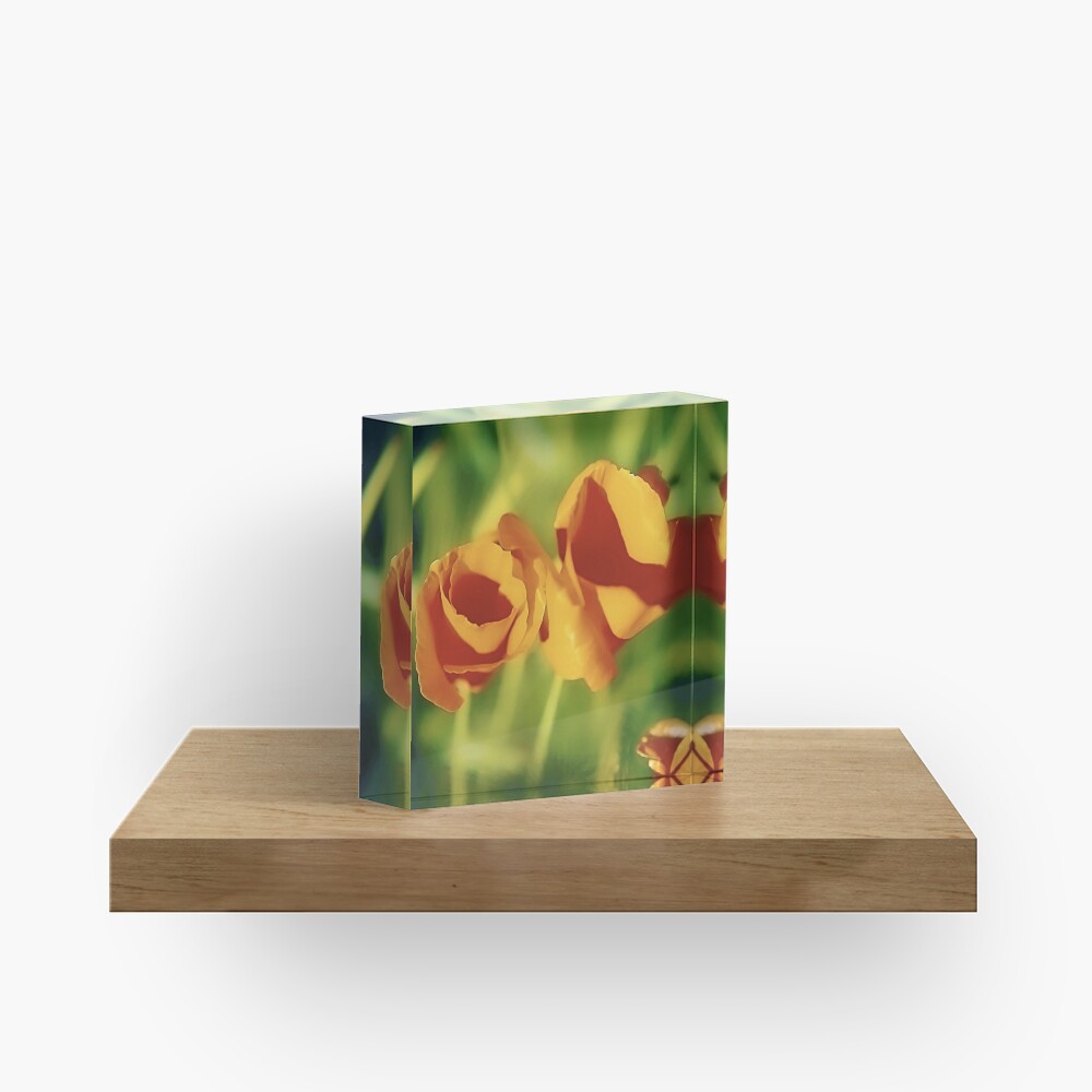 Item preview, Acrylic Block designed and sold by DaogreerEarth.
