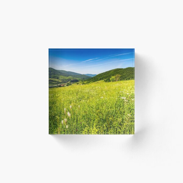 village on hillside meadow Acrylic Block