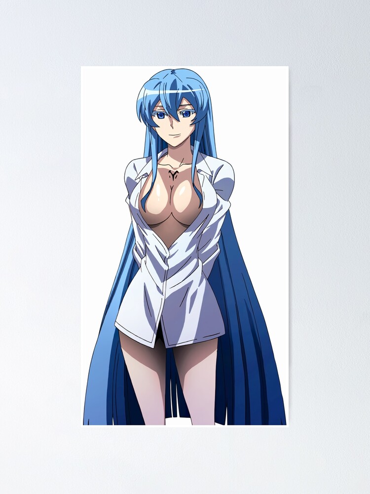 Akame ga Kill Esdeath Propaganda Poster