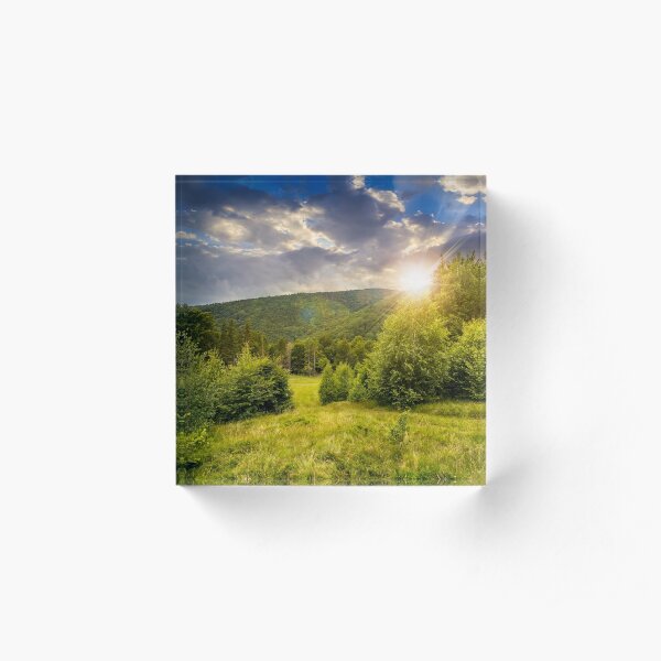forest glade on hillside at sunset Acrylic Block