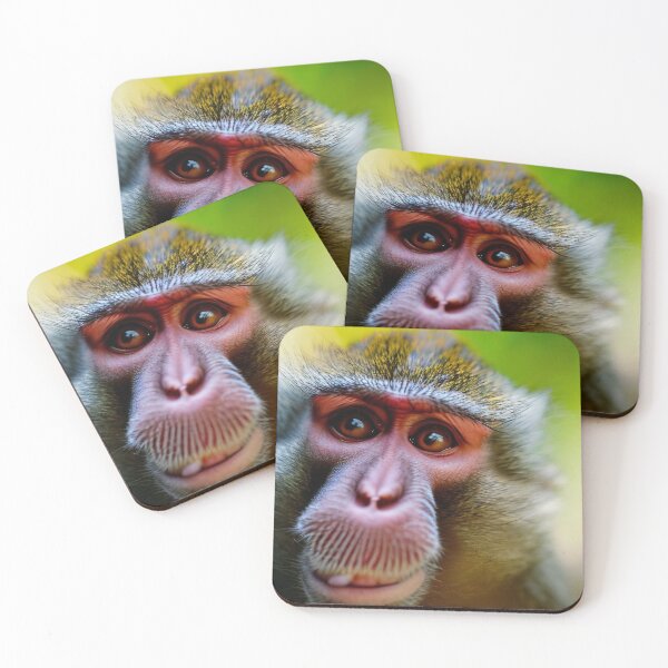 Item preview, Intense look of the monkey designed and sold by M-Lin.