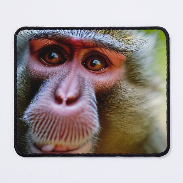 Item preview, Intense look of the monkey designed and sold by M-Lin.