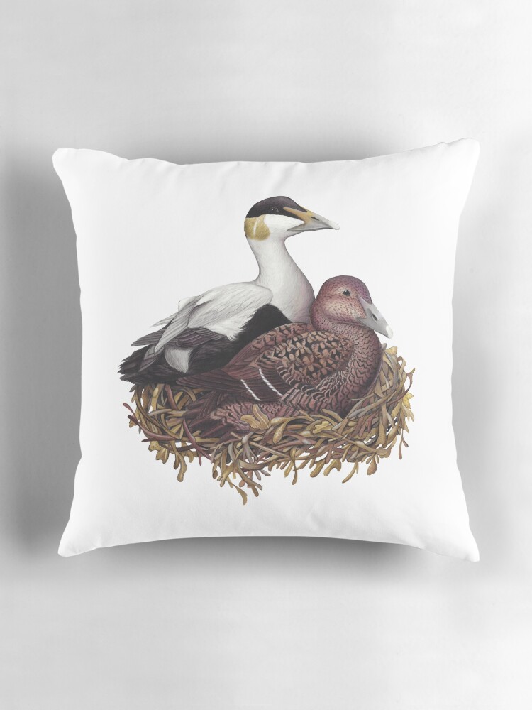 Common Eider Pillow