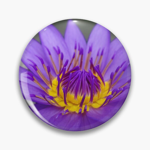 Item preview, Water lily 1 designed and sold by michelofya.