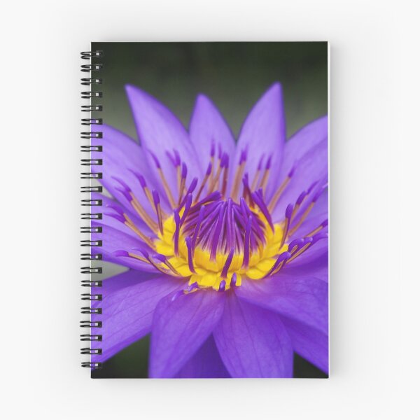 Item preview, Water lily 1 designed and sold by michelofya.