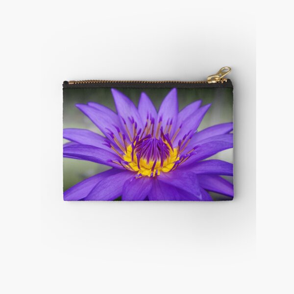 Item preview, Water lily 1 designed and sold by michelofya.