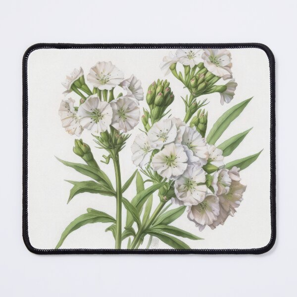 Item preview, Sweet William designed and sold by Vanover Designs.
