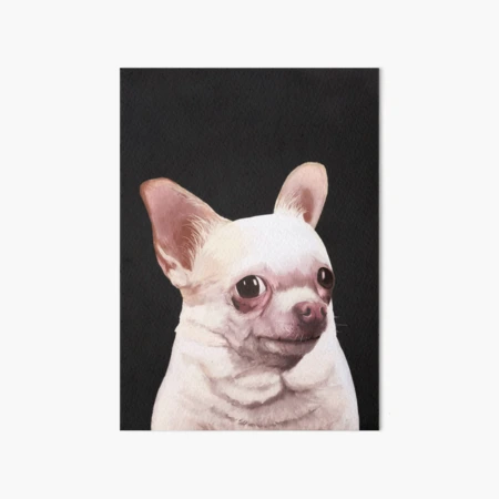 Funny Dog Meme Art Board Print