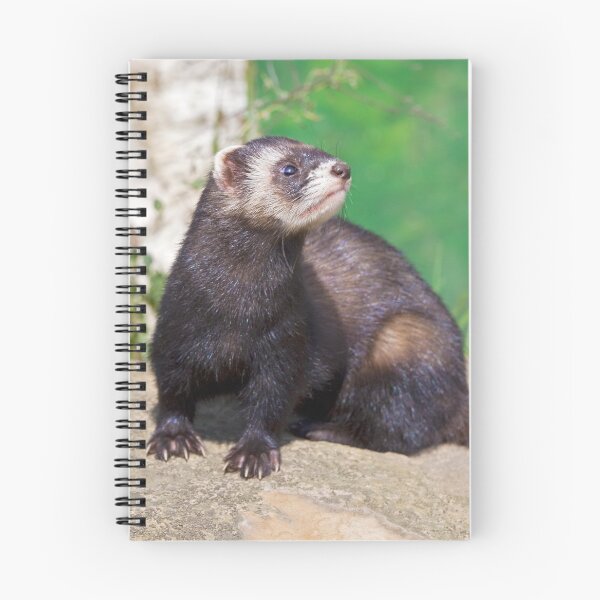 Item preview, Polecat designed and sold by Krys Bailey.