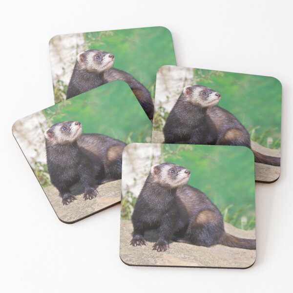 Item preview, Polecat designed and sold by Krys Bailey.