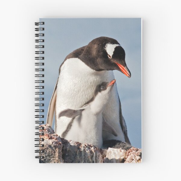 Item preview, Flying Gentoo Chick iPad Case designed and sold by Krys Bailey.