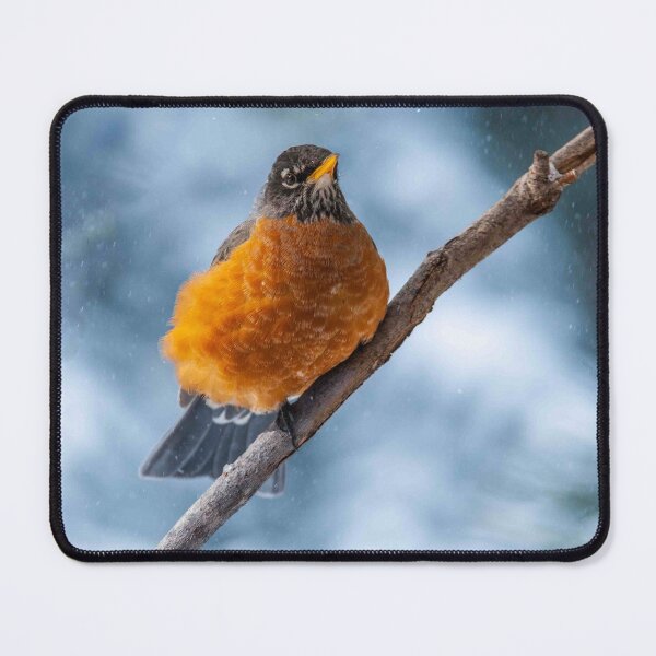 Item preview, American Robin Perched During a Snowstorm designed and sold by Jeff Goulden Photography.