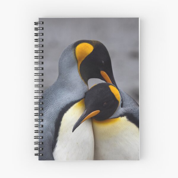 Item preview, King Penguins in Love iPad Case designed and sold by Krys Bailey.
