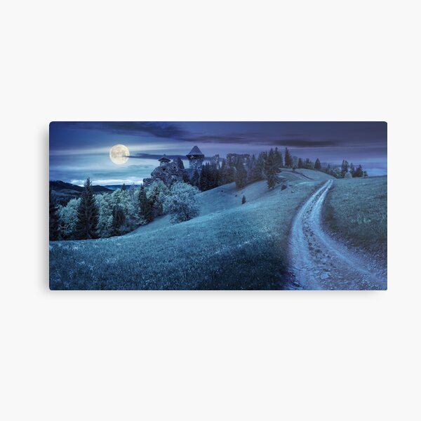 path to fortress ruins on hillside with forest at night Metal Print
