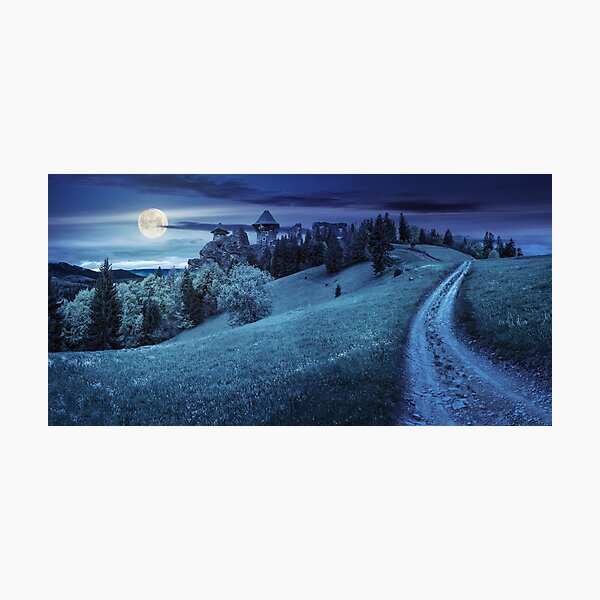 path to fortress ruins on hillside with forest at night Photographic Print