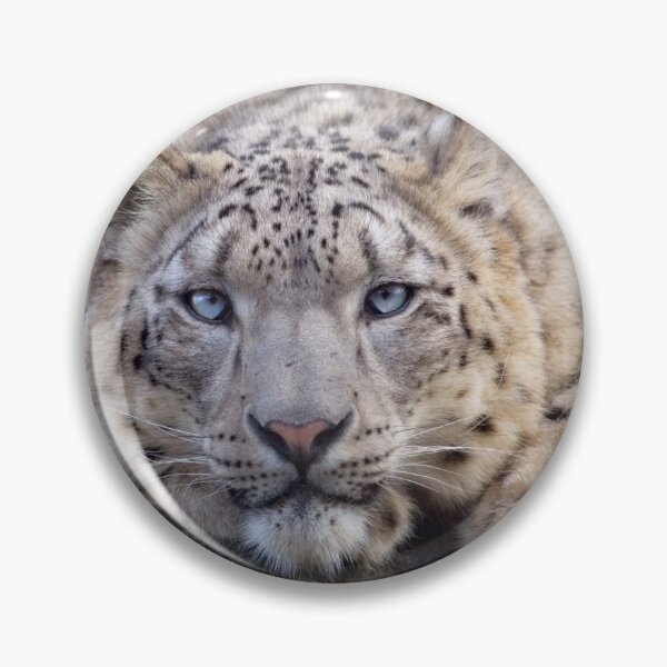 Item preview, Vishnu Snow Leopard iPad Case designed and sold by Krys Bailey.
