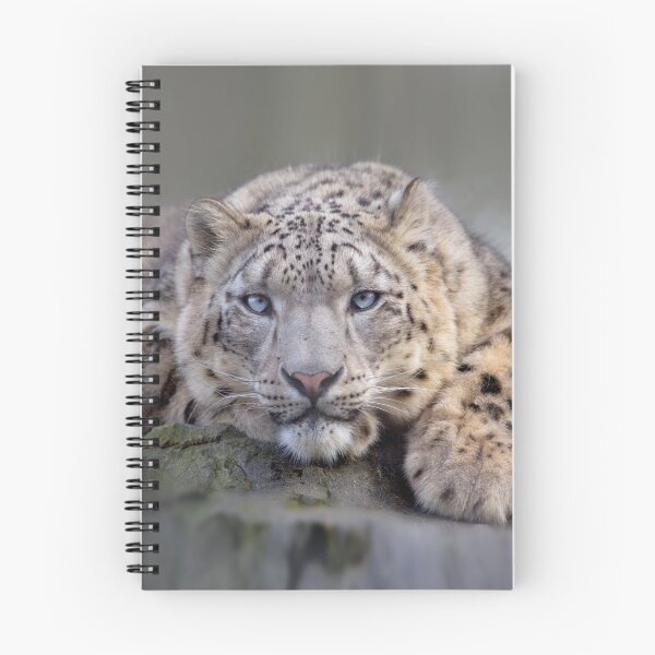 Item preview, Vishnu Snow Leopard iPad Case designed and sold by Krys Bailey.