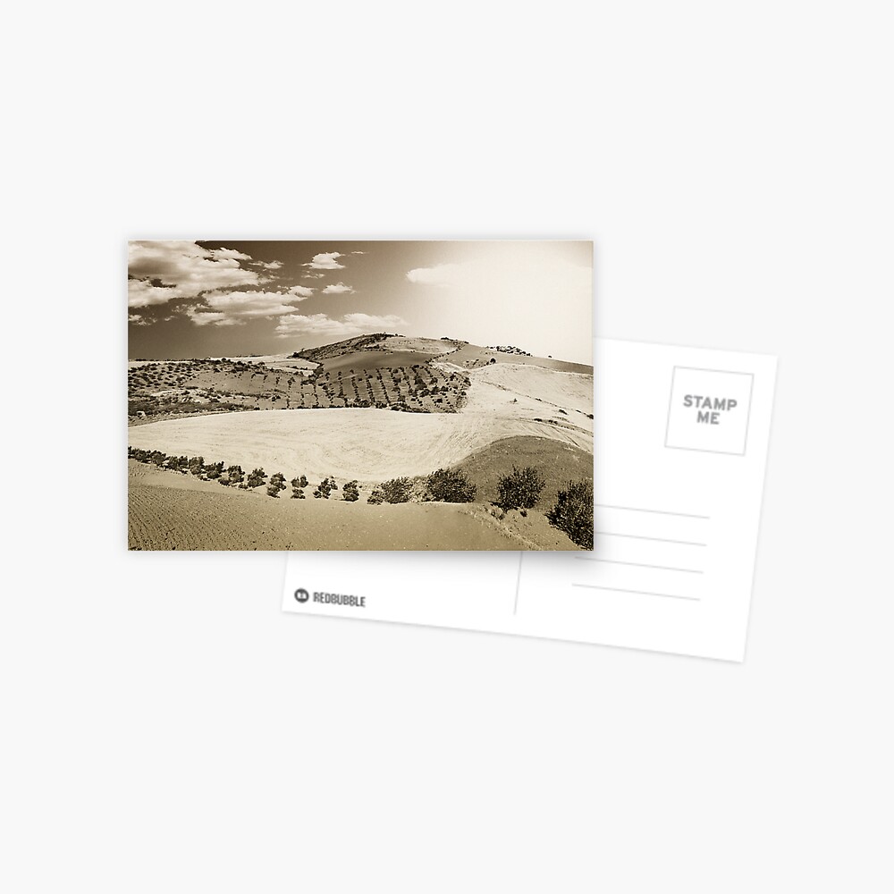Layered landscape Postcard