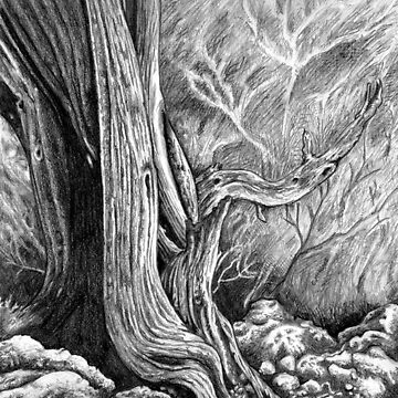Artwork thumbnail, Skull Forest by mistertengu74