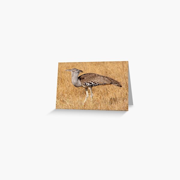 Kori Bustard Greeting Card