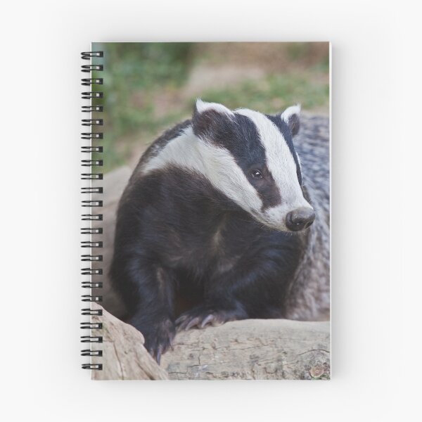 Item preview, European Badger designed and sold by Krys Bailey.