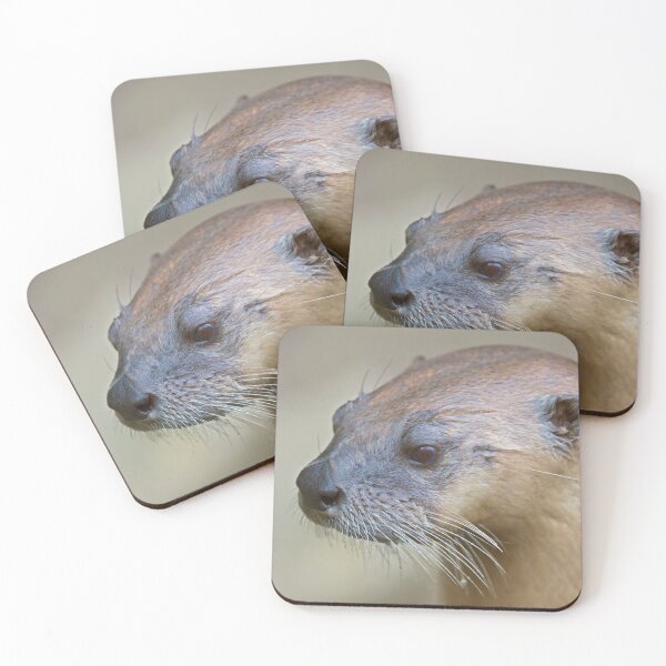 Item preview, North American River Otter designed and sold by Krys Bailey.