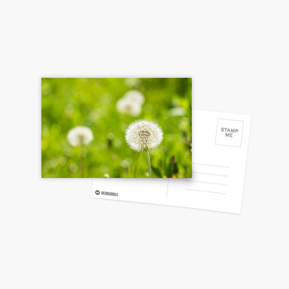Item preview, Postcard designed and sold by mike-pellinni.