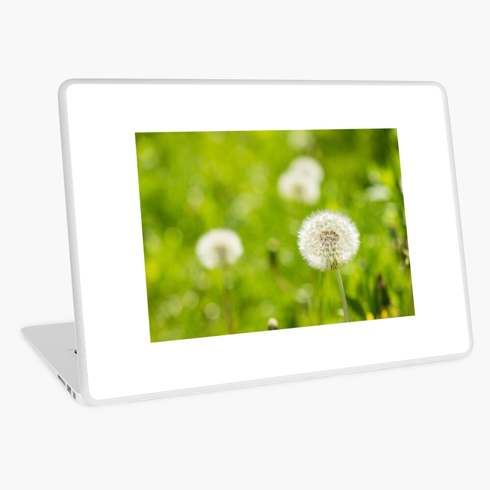 Item preview, Laptop Skin designed and sold by mike-pellinni.