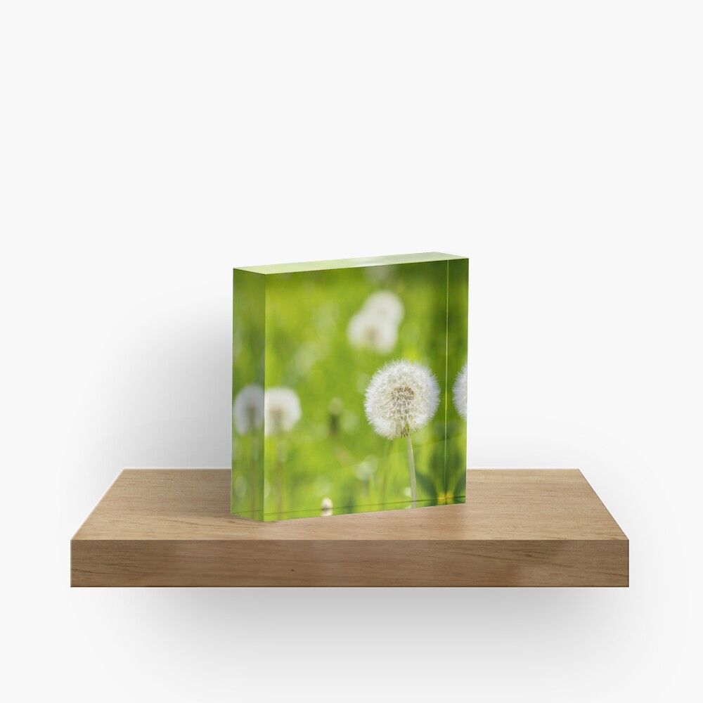 Item preview, Acrylic Block designed and sold by mike-pellinni.