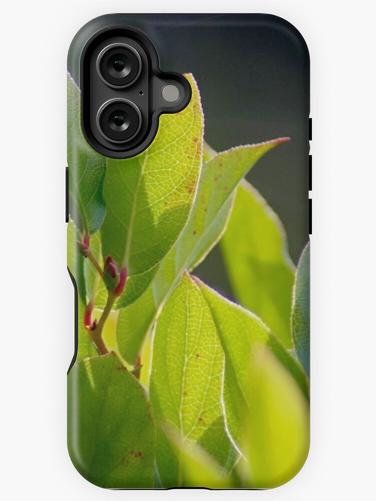 Thumbnail 1 of 4, iPhone Case, Before the Cakes designed and sold by DaogreerEarth.