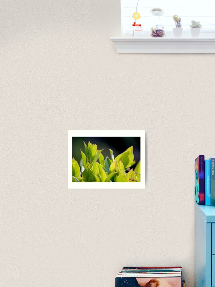 Thumbnail 2 of 3, Art Print, Before the Cakes designed and sold by DaogreerEarth.