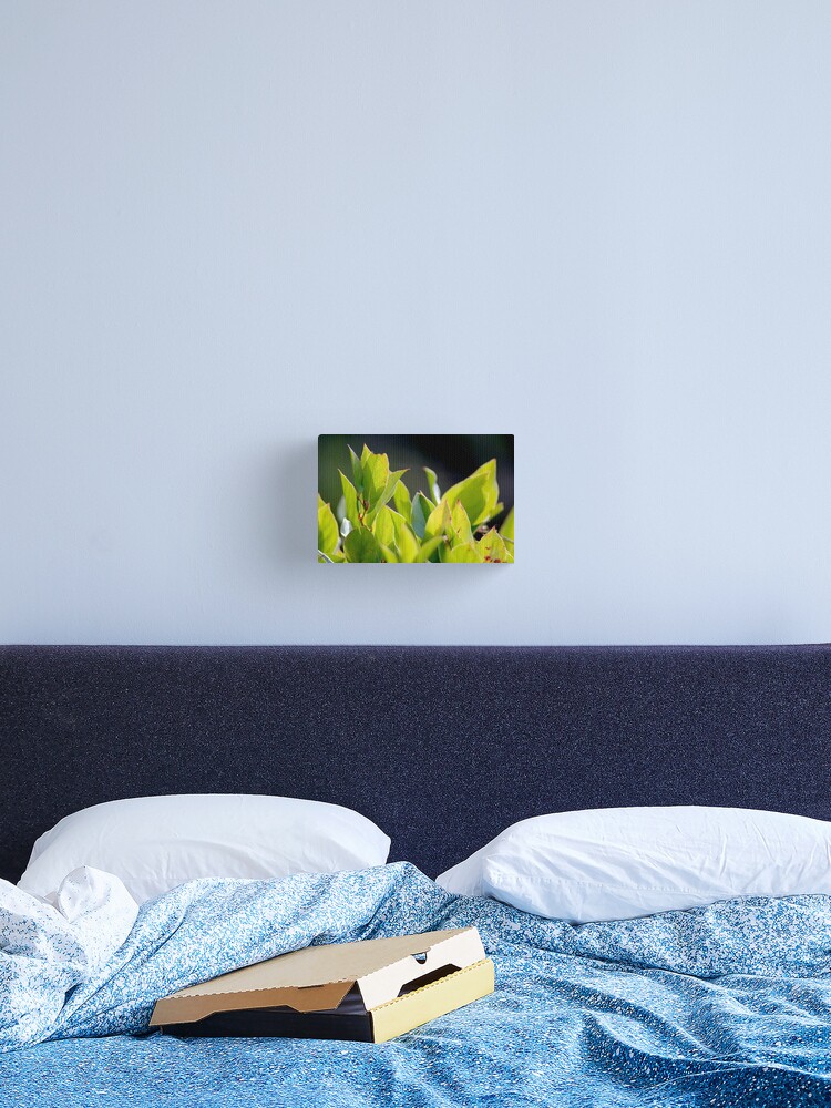 Thumbnail 2 of 3, Canvas Print, Before the Cakes designed and sold by DaogreerEarth.