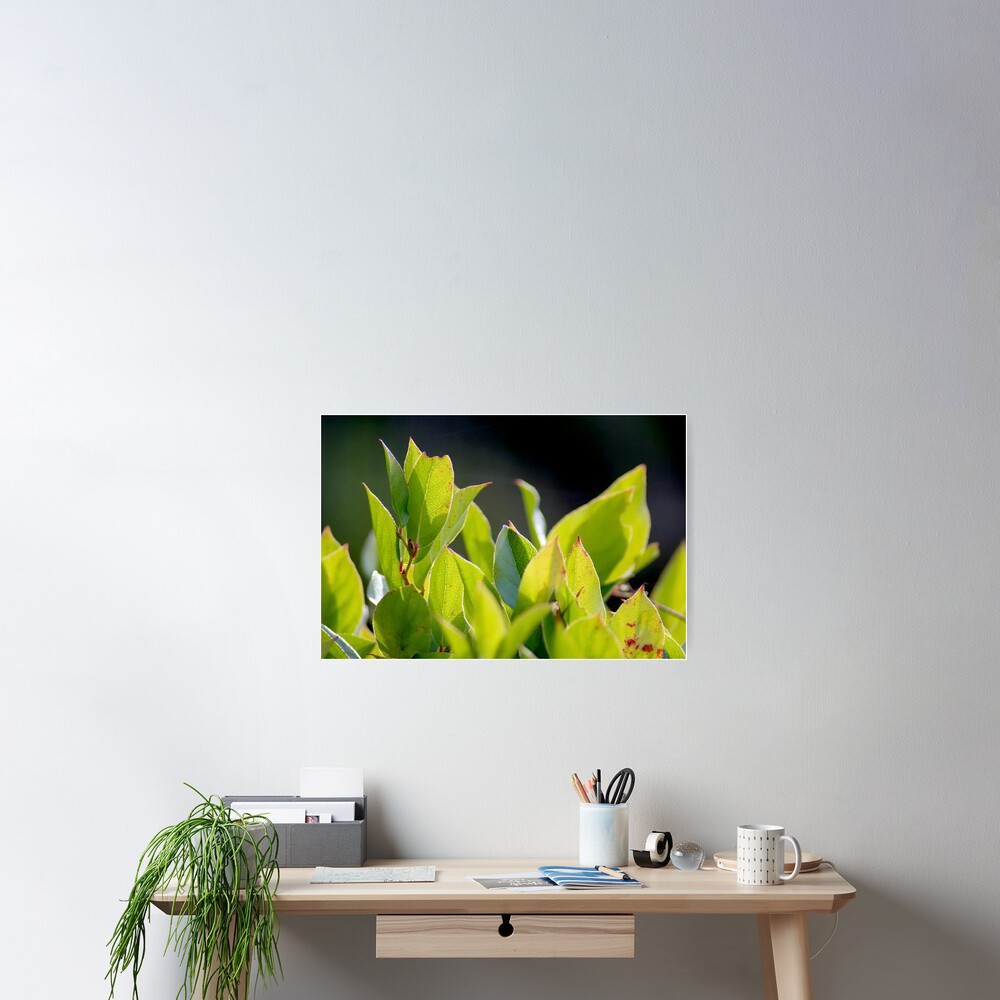 Item preview, Poster designed and sold by DaogreerEarth.