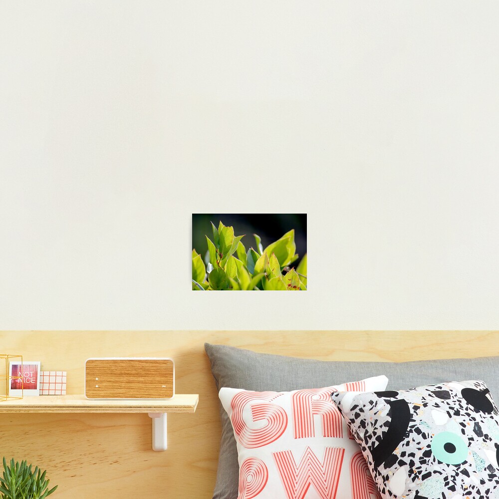 Item preview, Photographic Print designed and sold by DaogreerEarth.