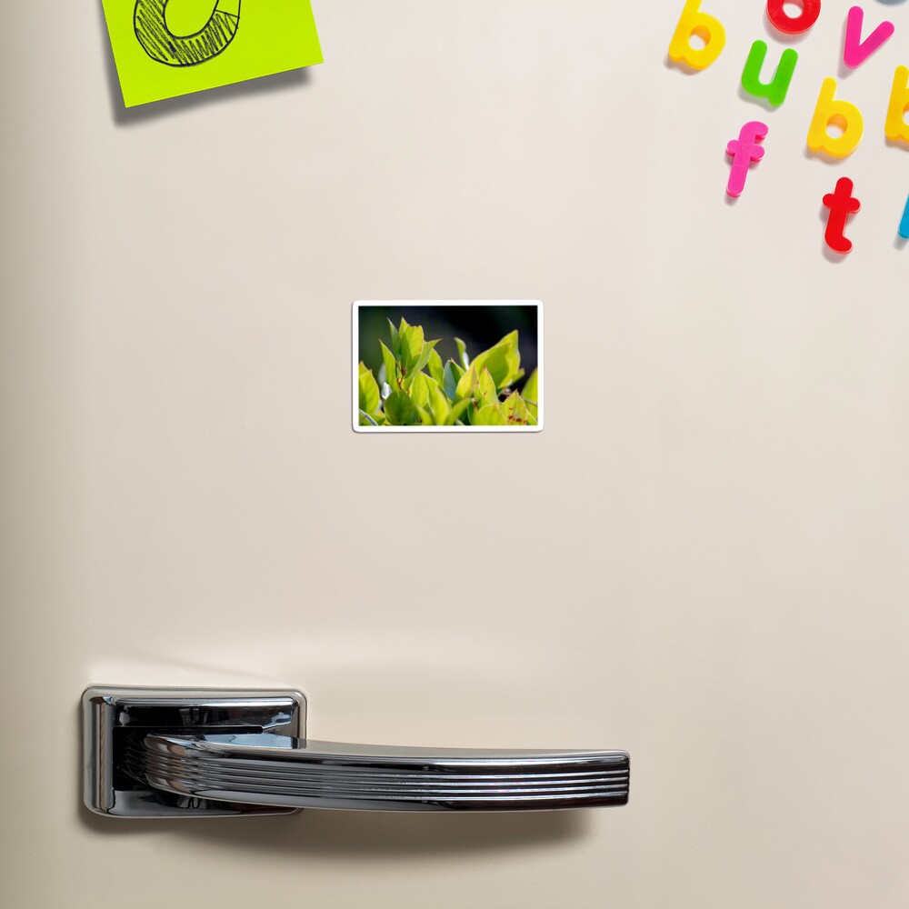 Item preview, Magnet designed and sold by DaogreerEarth.