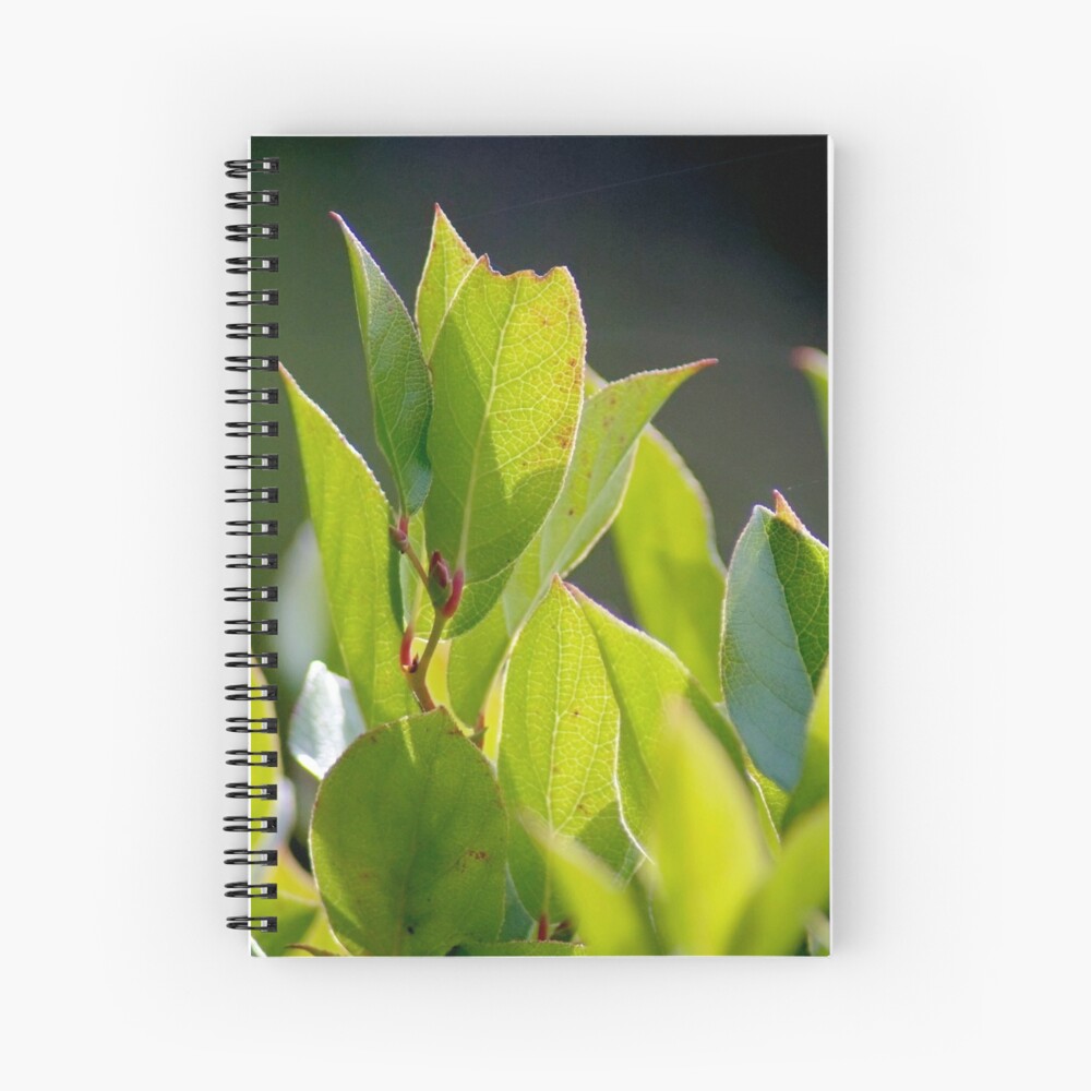 Item preview, Spiral Notebook designed and sold by DaogreerEarth.