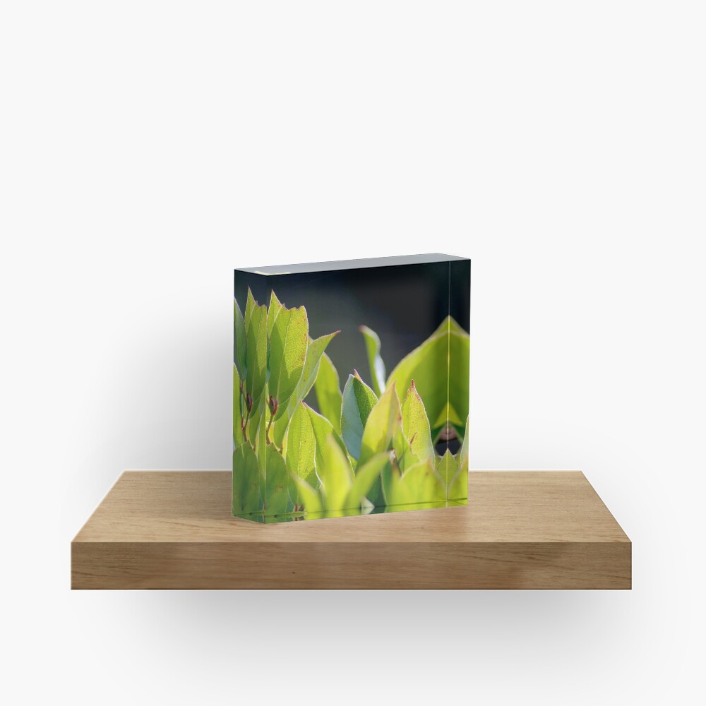 Item preview, Acrylic Block designed and sold by DaogreerEarth.