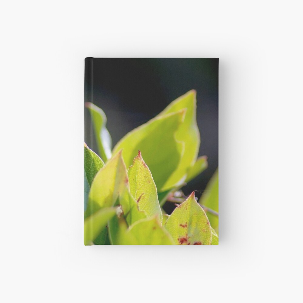 Item preview, Hardcover Journal designed and sold by DaogreerEarth.