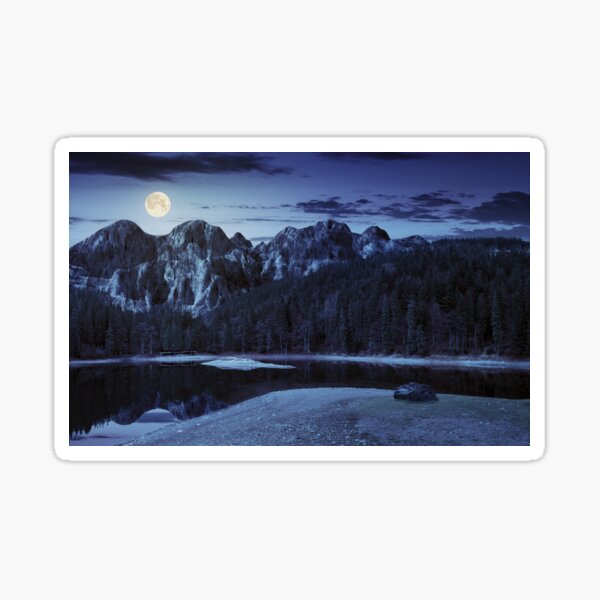 lake near the mountain in pine forest at night Sticker
