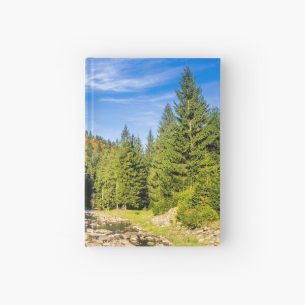 river with stones in forest Hardcover Journal