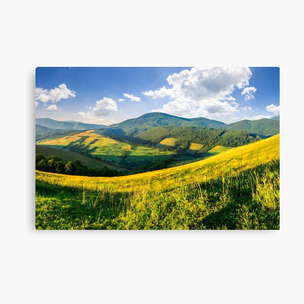 agricultural fields in mountains Canvas Print