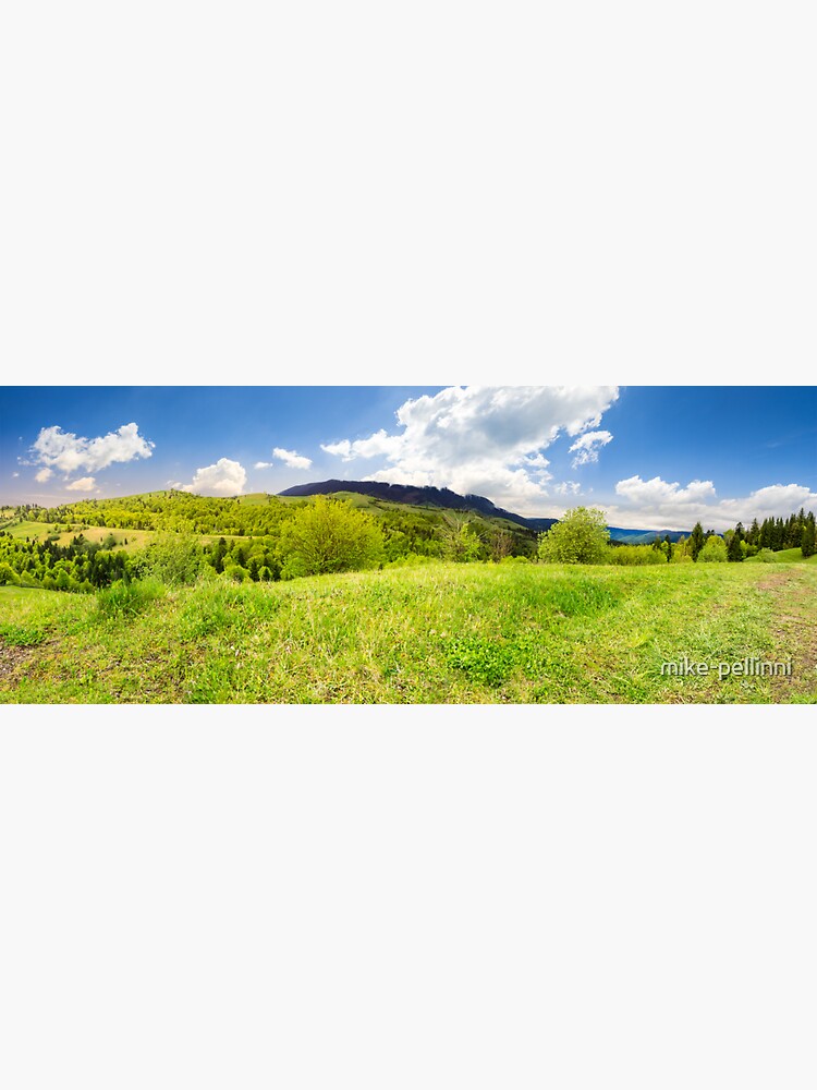 meadow near forest in mountains by mike-pellinni