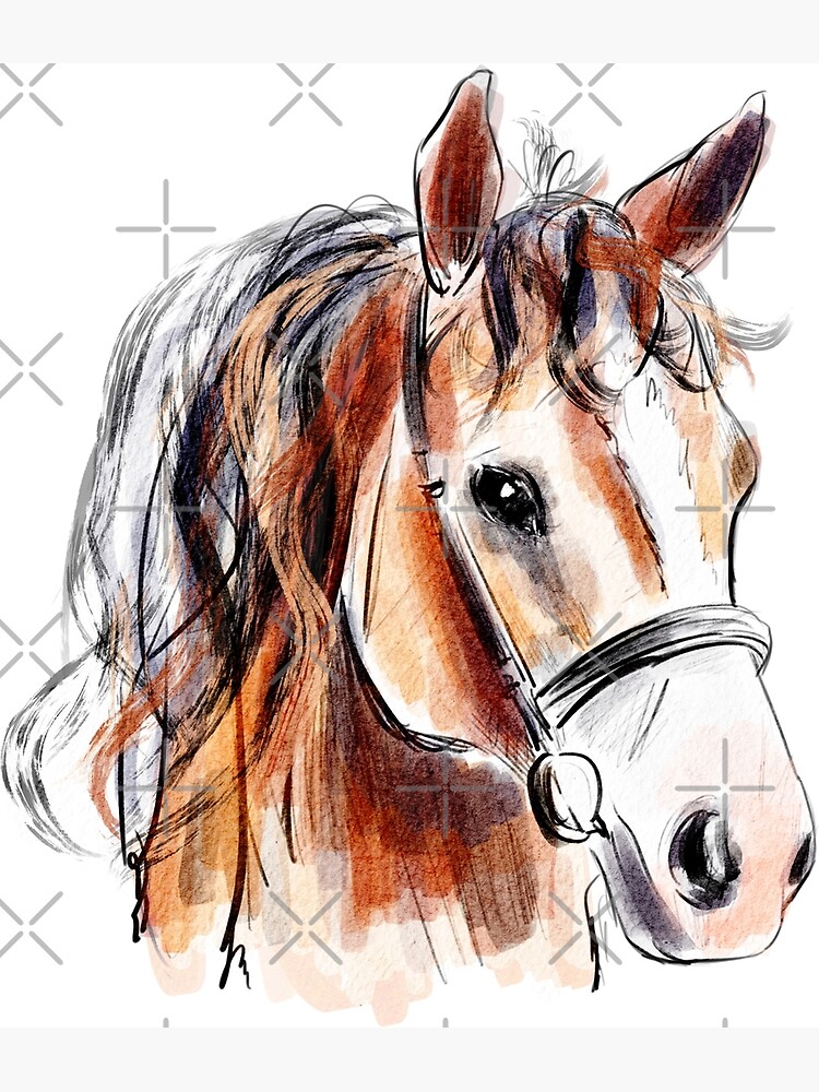 Drawing horses, Draw a Horse's Face in 3 Steps