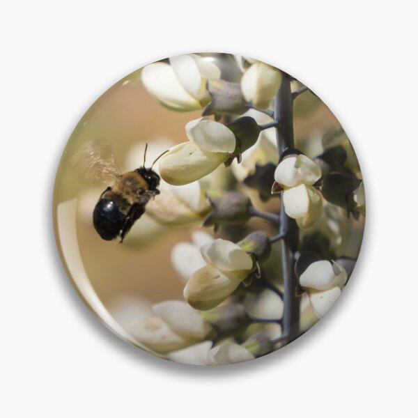 Item preview, White Wild Indigo With Bee designed and sold by TinyDinoDesigns.
