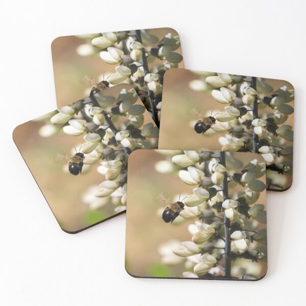 Item preview, White Wild Indigo With Bee designed and sold by TinyDinoDesigns.