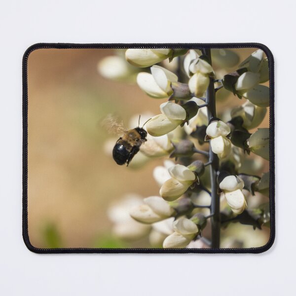 Item preview, White Wild Indigo With Bee designed and sold by TinyDinoDesigns.